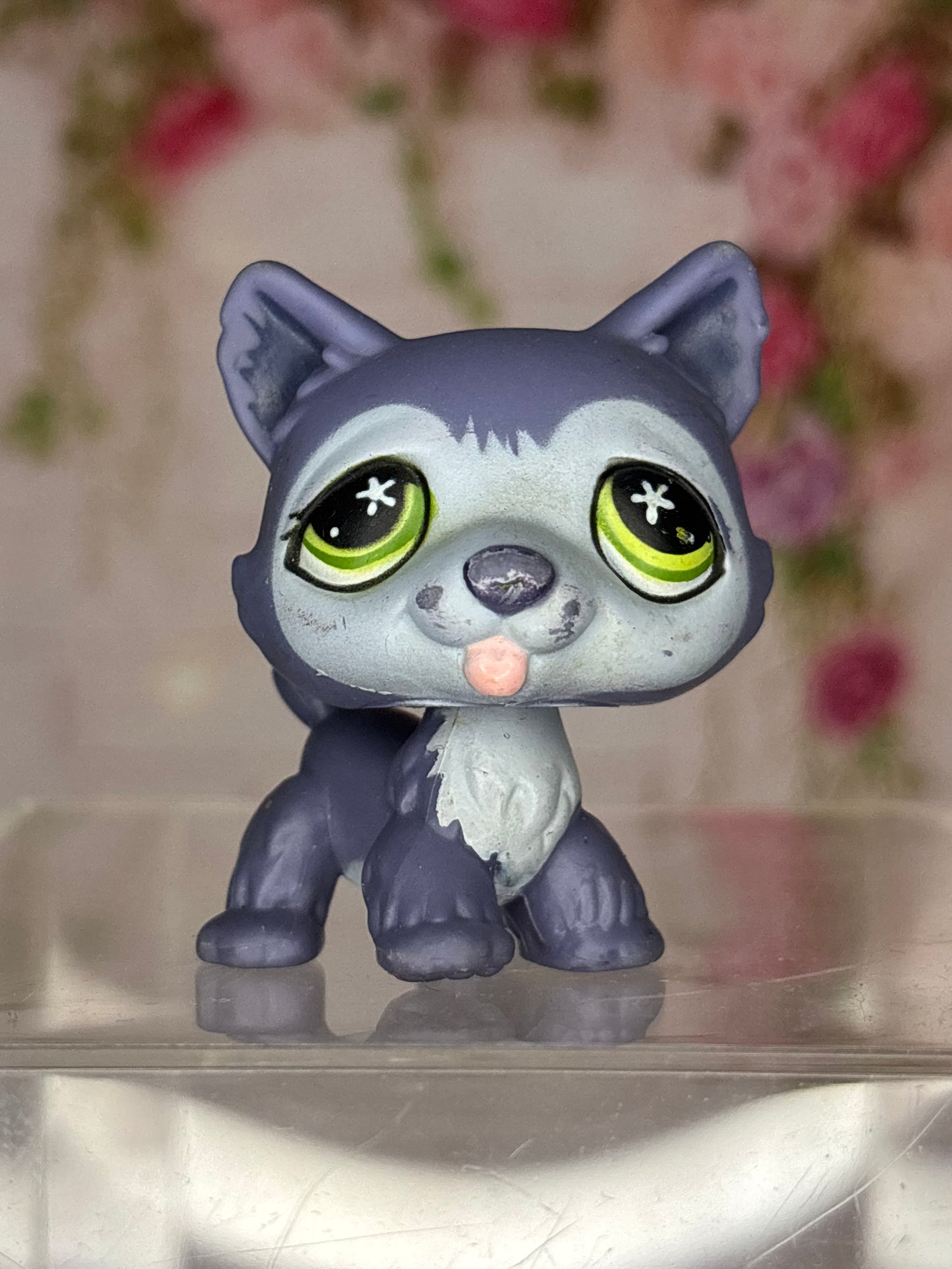 LPS Husky