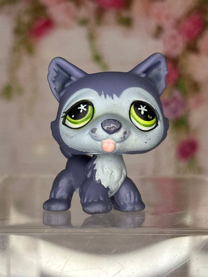 LPS Husky