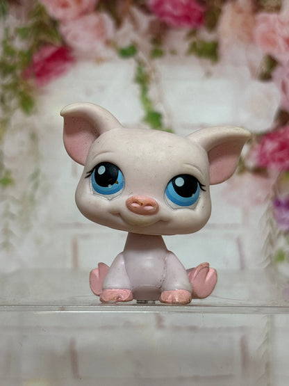 LPS Pig