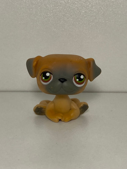 LPS Pug