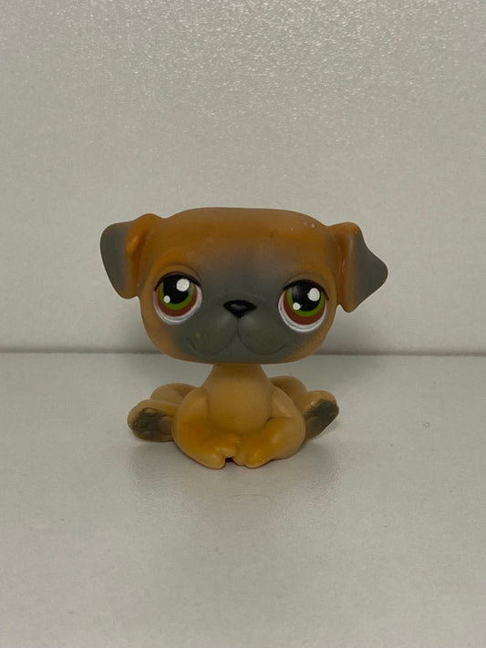 LPS Pug