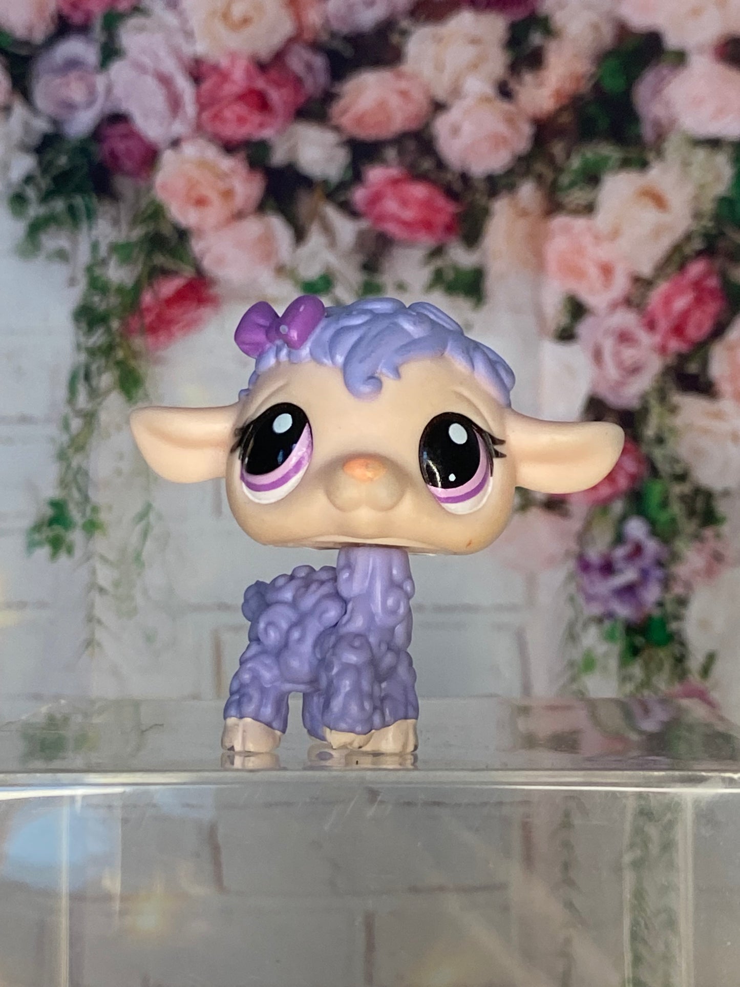 LPS Lamb