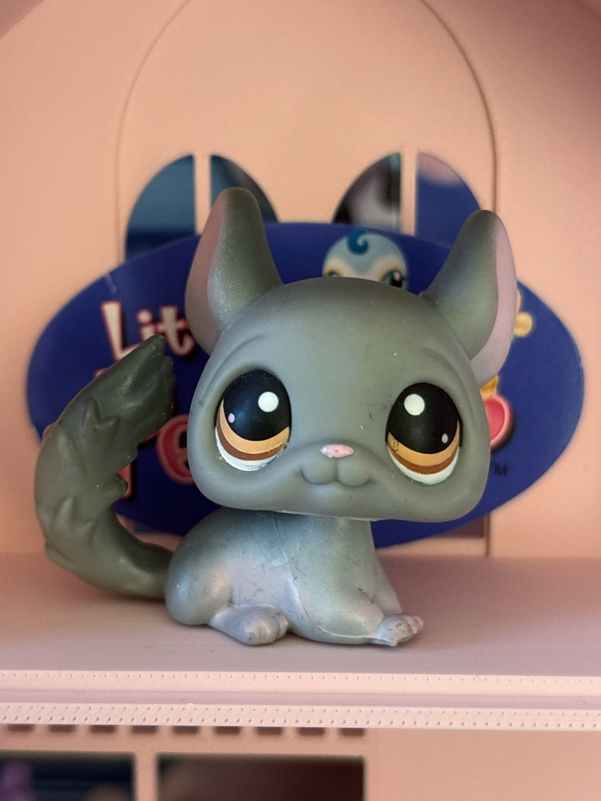 LPS Chinchilla #144