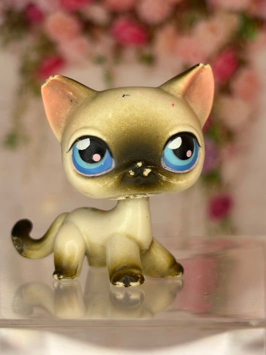 LPS Shorthair Cat #5