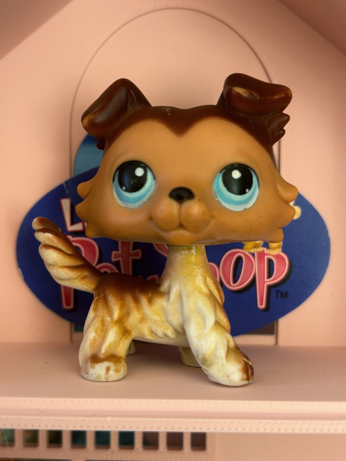 LPS Collie #58 Paw Down Variant