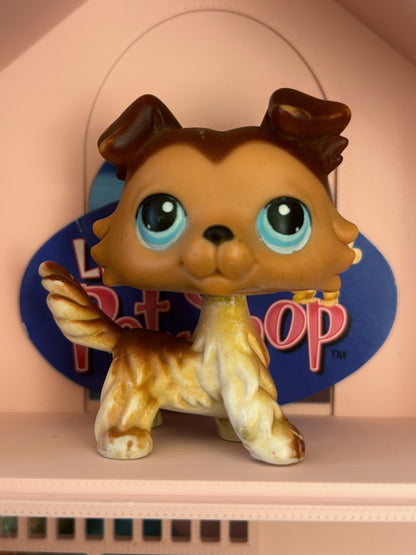LPS Collie #58 Paw Down Variant
