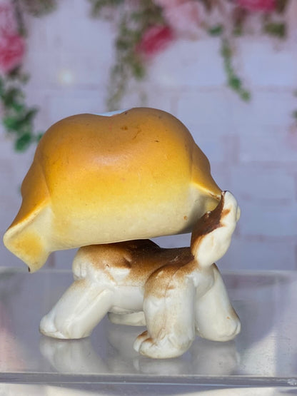 LPS Saint Bernard #76