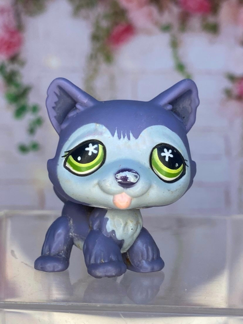 LPS Husky #487