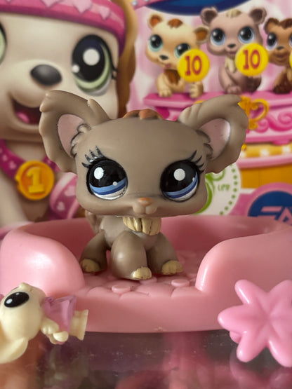 LPS Rare Chihuahua #1892