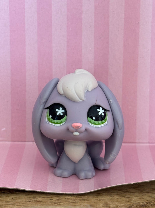 LPS Bunny #648