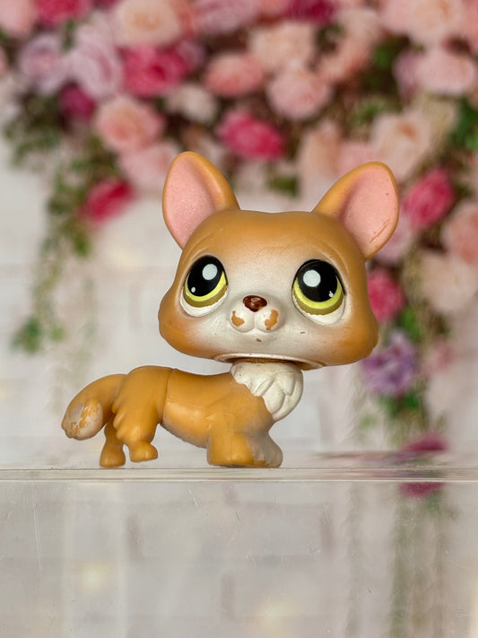 LPS Corgi #183