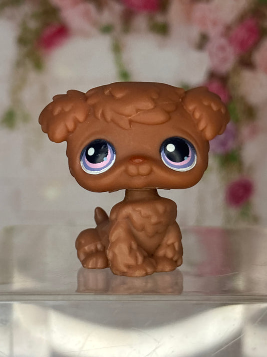 LPS Poodle