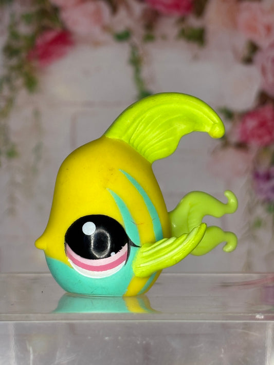 LPS Angelfish #1121