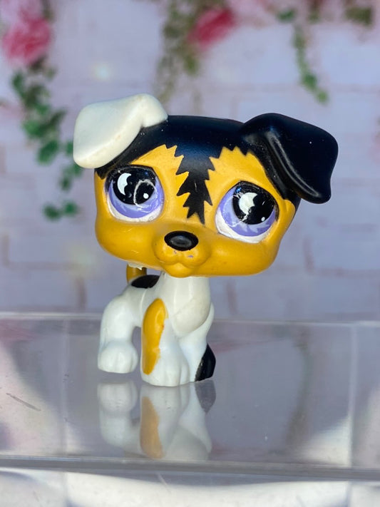 LPS Jack Russel #803