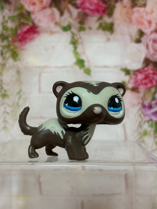 LPS Ferret