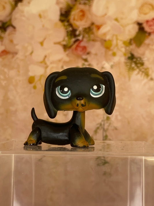 LPS Dachshund #325