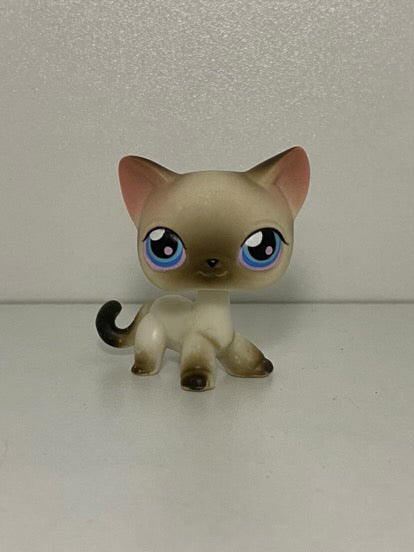 LPS Siamese Cat