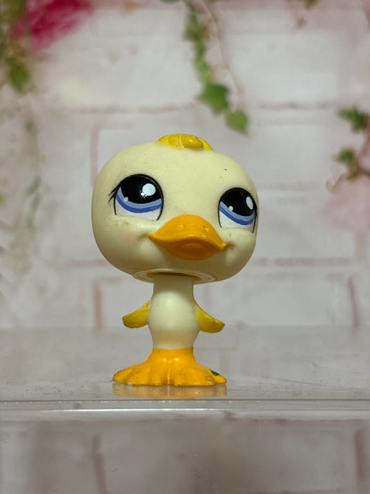LPS Duck