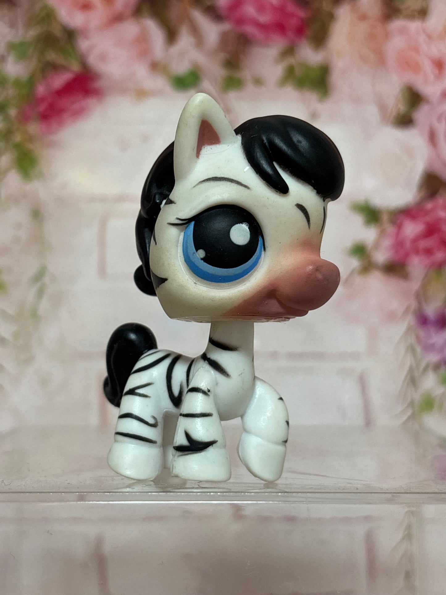 LPS Zebra