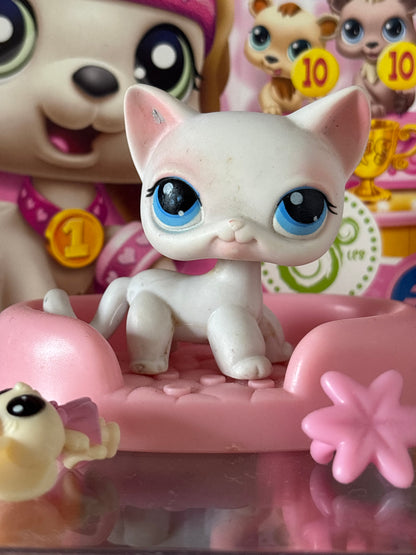 LPS Shorthair Cat #64