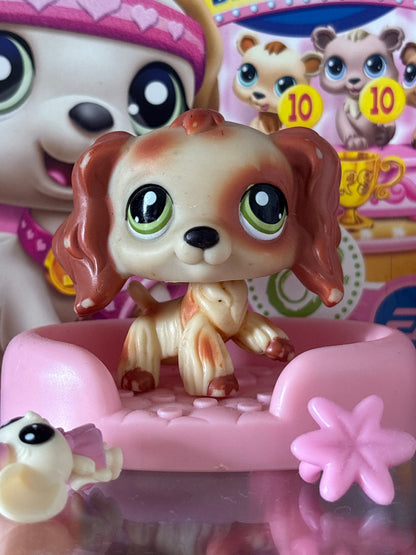 LPS Puzzle Cocker Spaniel no#