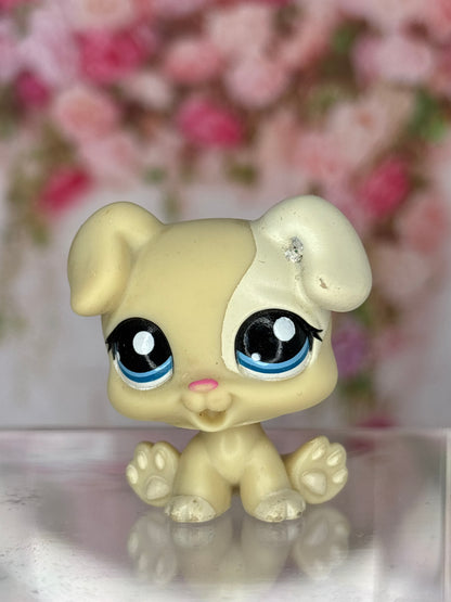 LPS Puppy
