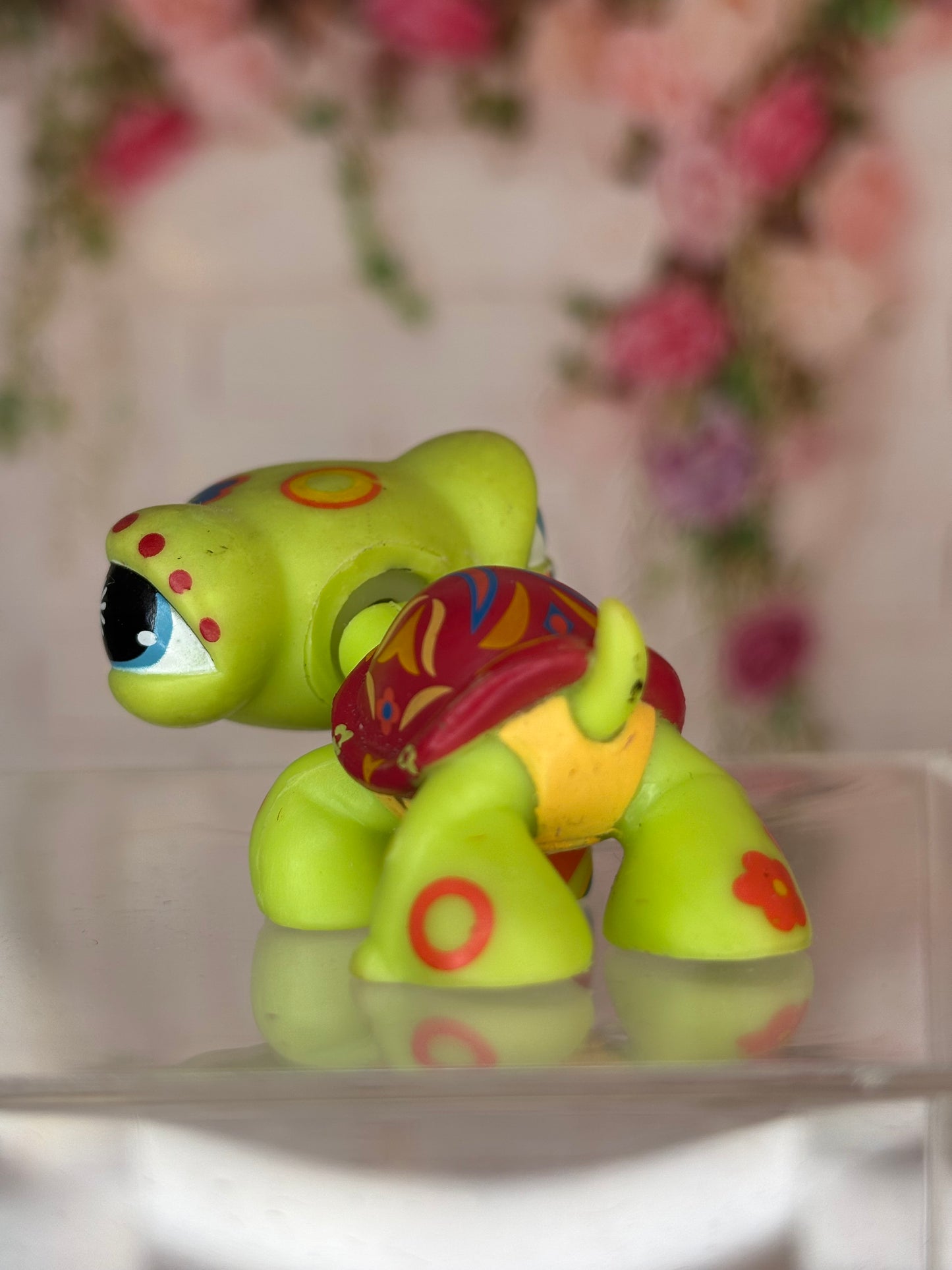 LPS Postcard Turtle