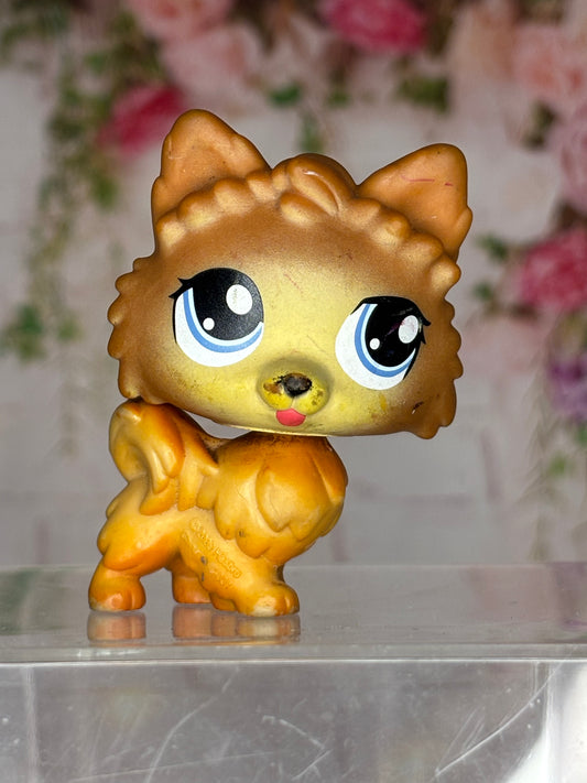 LPS Pomeranian #1317