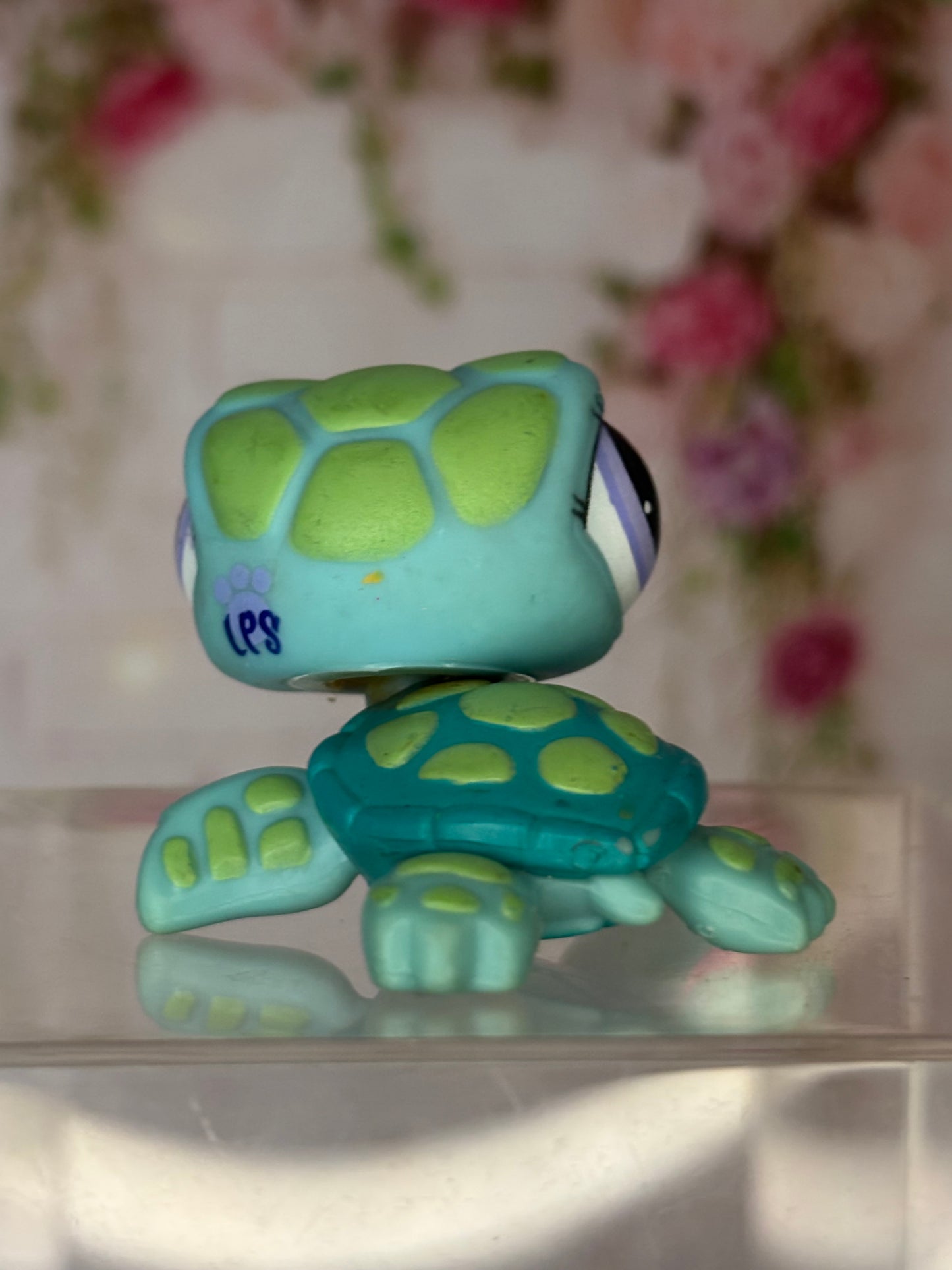 LPS Turtle #1325
