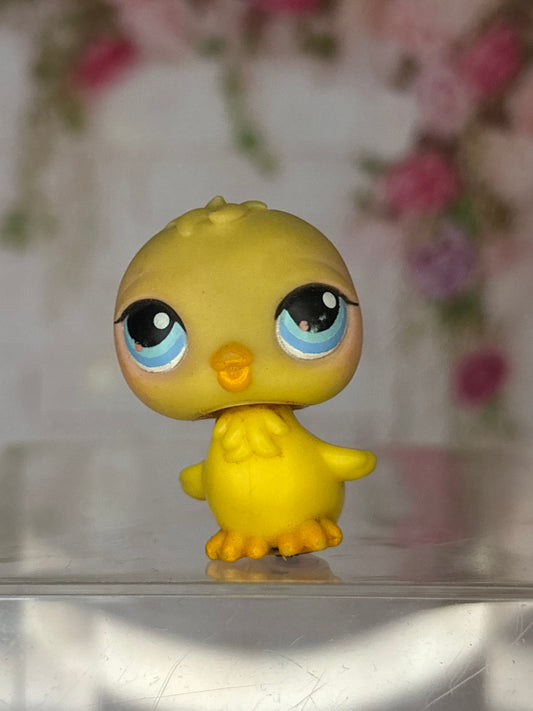 LPS Chick