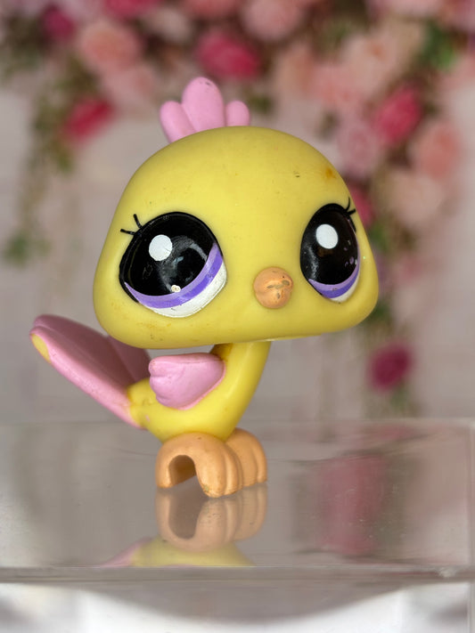 LPS Peacock 2017