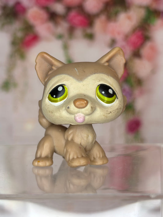 LPS Husky #358