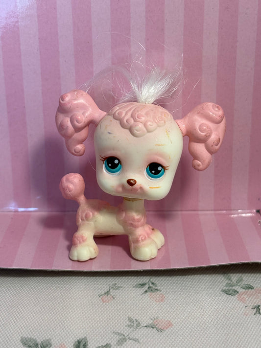 LPS First Gen Poodle #225