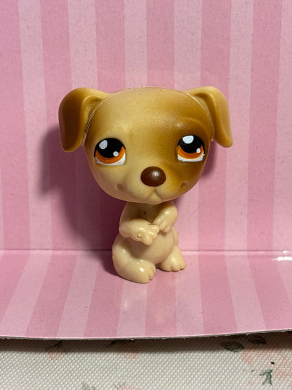 LPS Jack Russel #109