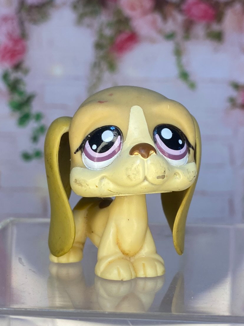 LPS Basset Hound #1465