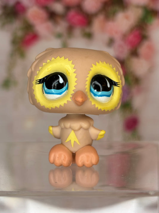 LPS Owl #674