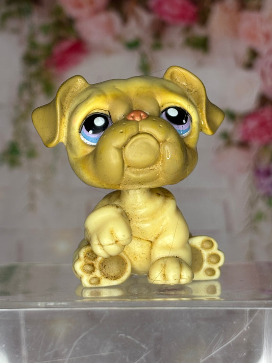LPS Bouldogue #135