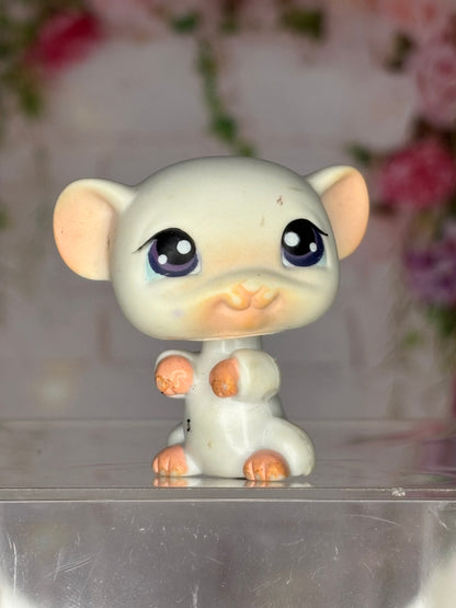 LPS Mouse #30