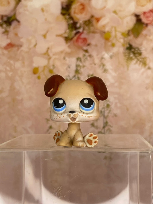 LPS Puppy #143