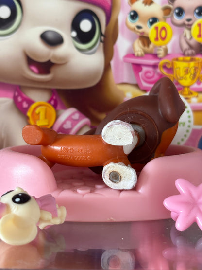 LPS Dachshund #675