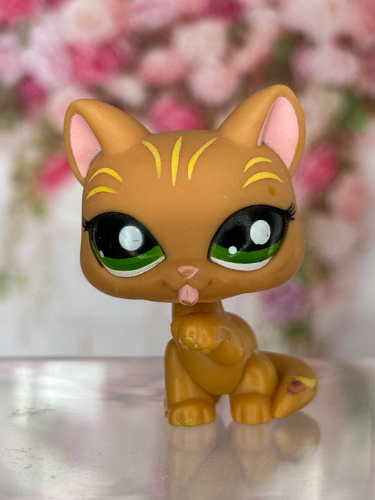 LPS Paw Licking Cat