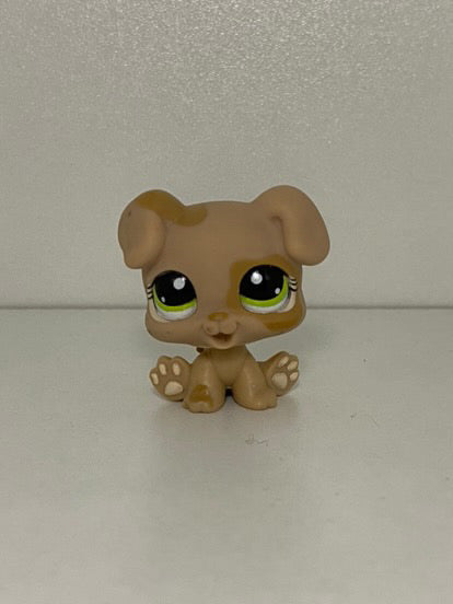 LPS Puppy