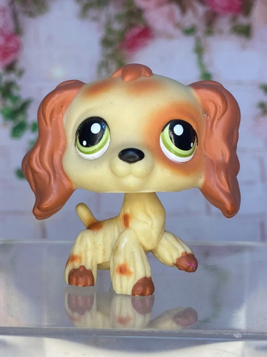 LPS Puzzle Cocker Spaniel