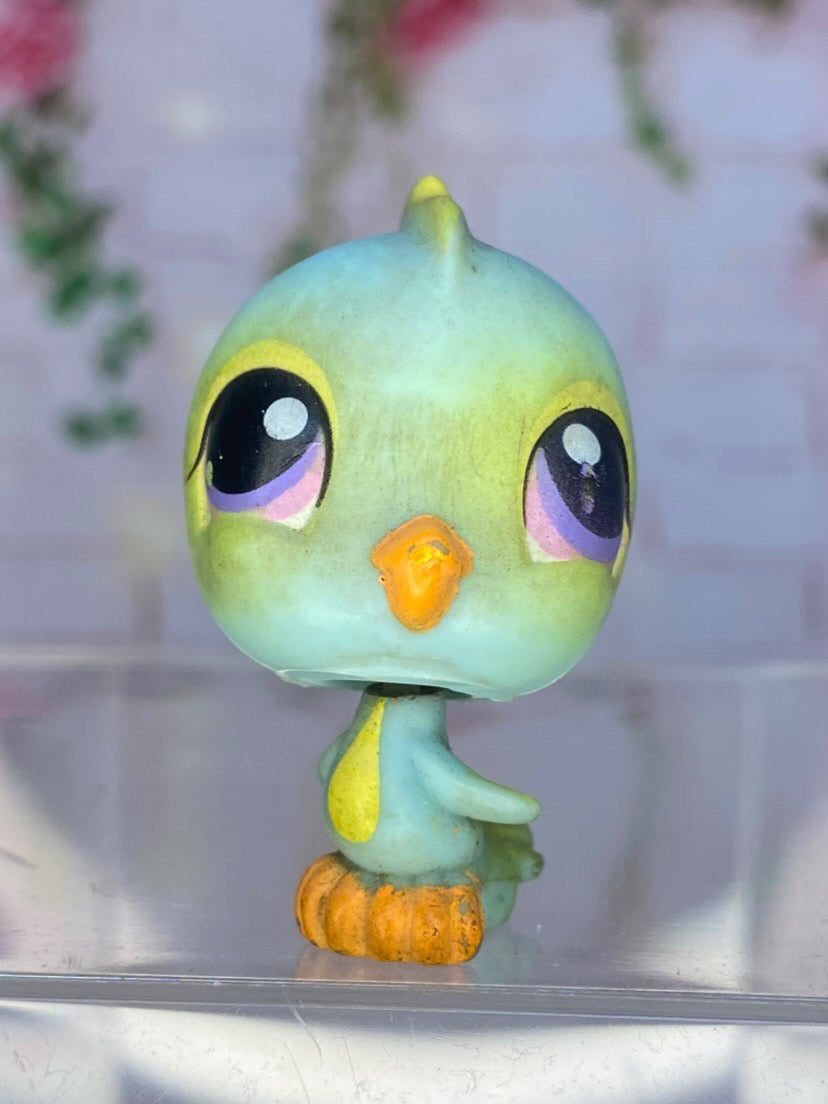 LPS Parakeet