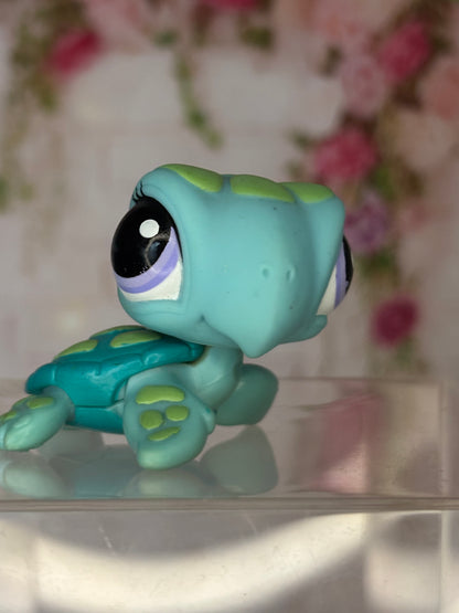LPS Turtle #1325