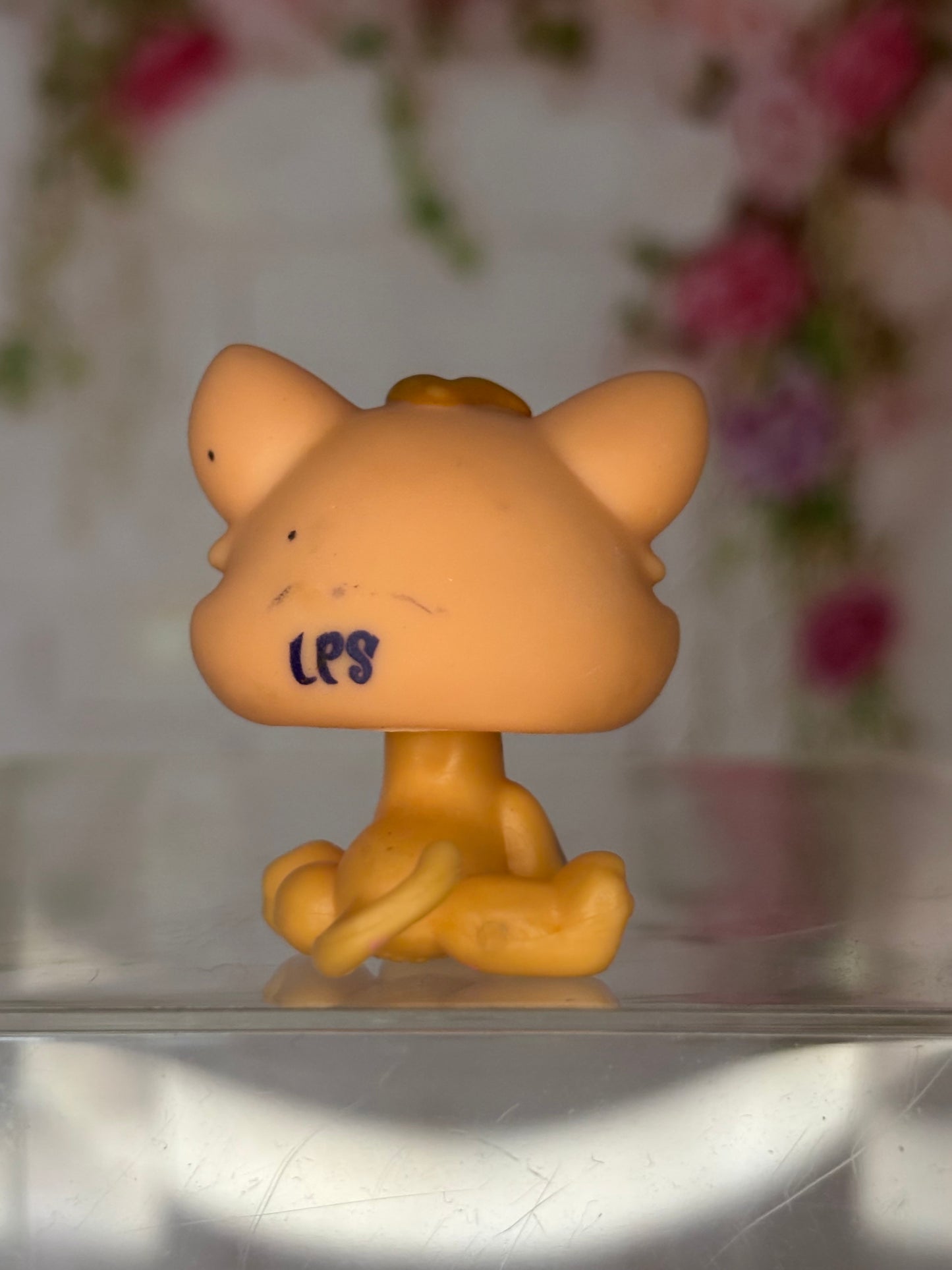 LPS Kitten #1691
