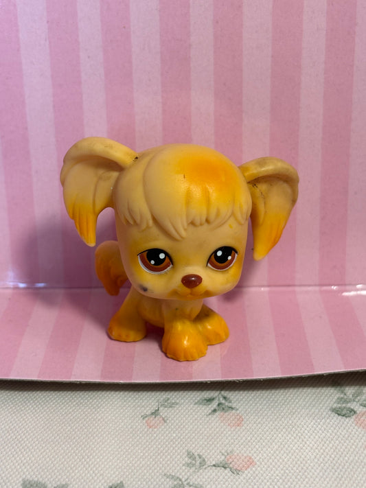LPS First Gen Maltese