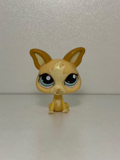 LPS Chihuahua