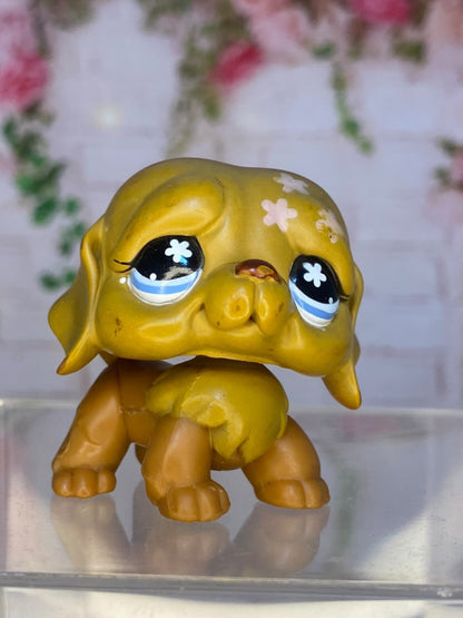 LPS Saint Bernard #481