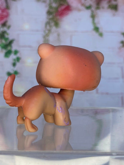 LPS Ferret #334